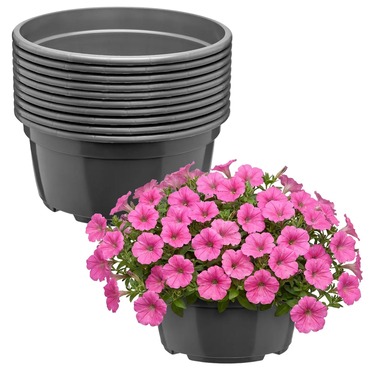 #Größe_Ø 19 x 9,5 cm (2,2L)#Set_10 Töpfe#Farbe_Anthrazit
