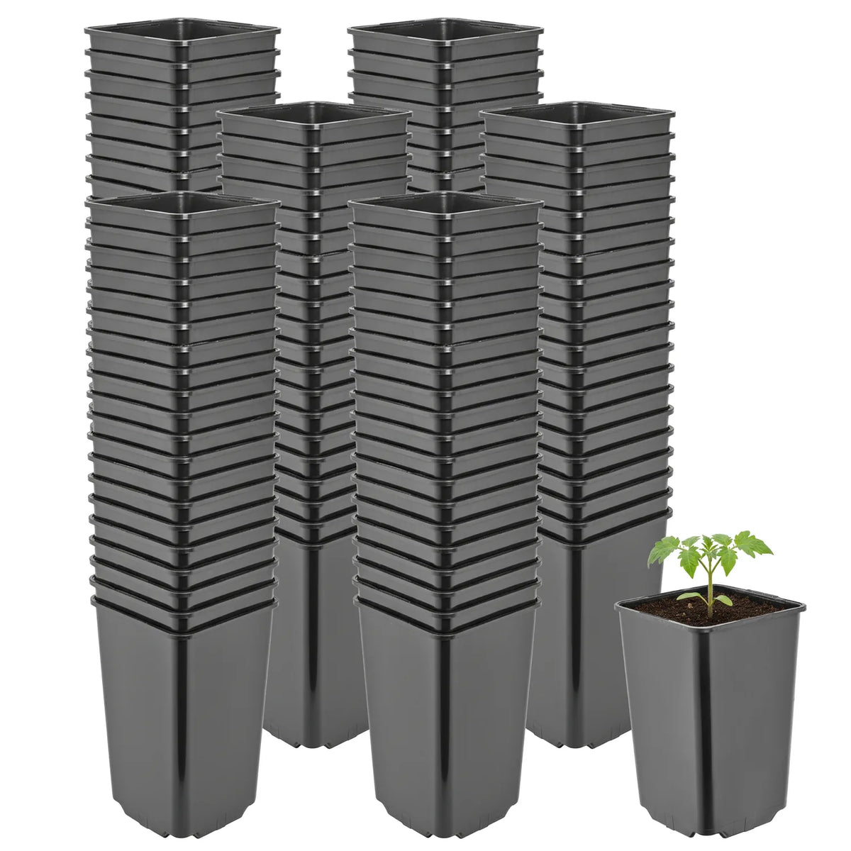 #Größe_9 x 9 x 14 cm (0,8L)#Set_100 Töpfe