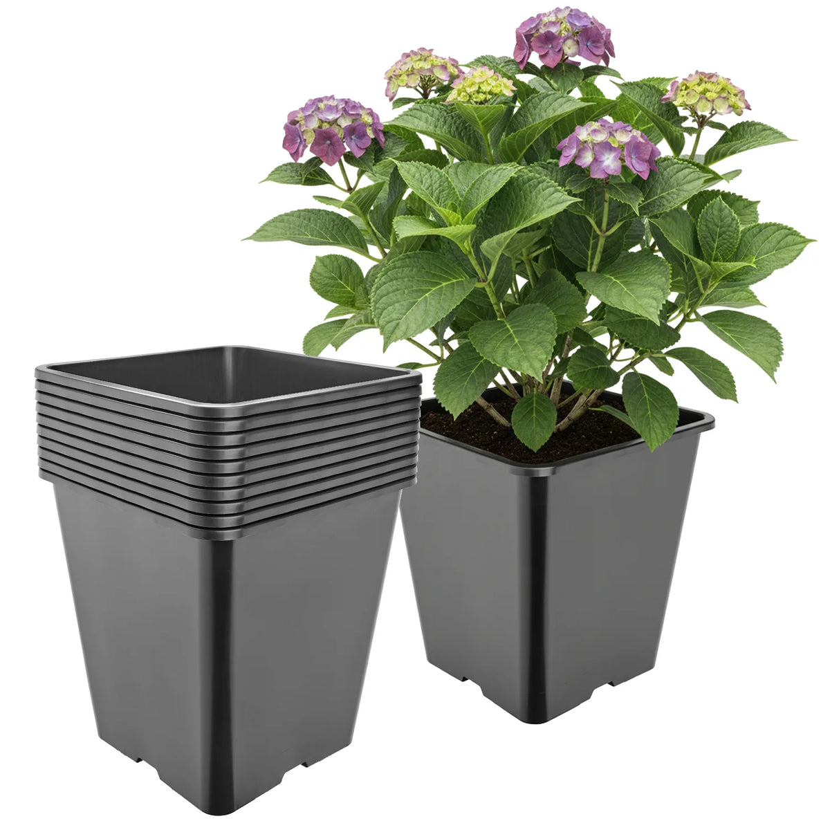 #Größe_25 x 25 x 26 cm (11L)#Set_10 Töpfe