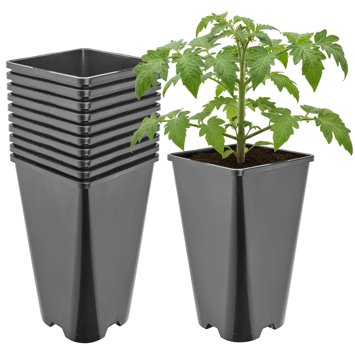 #Größe_13,5 x 13,5 x 23 cm (3L)#Set_10 Töpfe