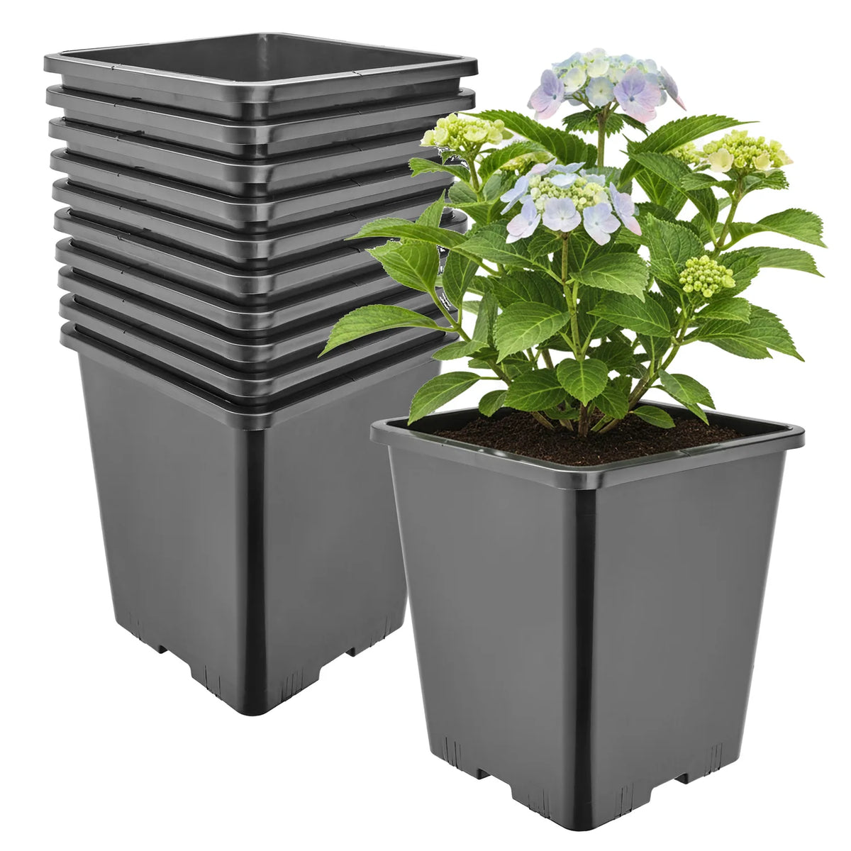 #Größe_20,5 x 20,5 x 23,5 cm (7L)#Set_10 Töpfe