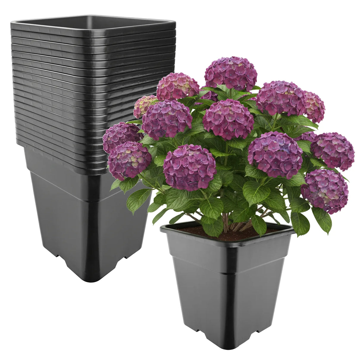 #Größe_33 x 33 x 34 cm (25L)#Set_20 Töpfe