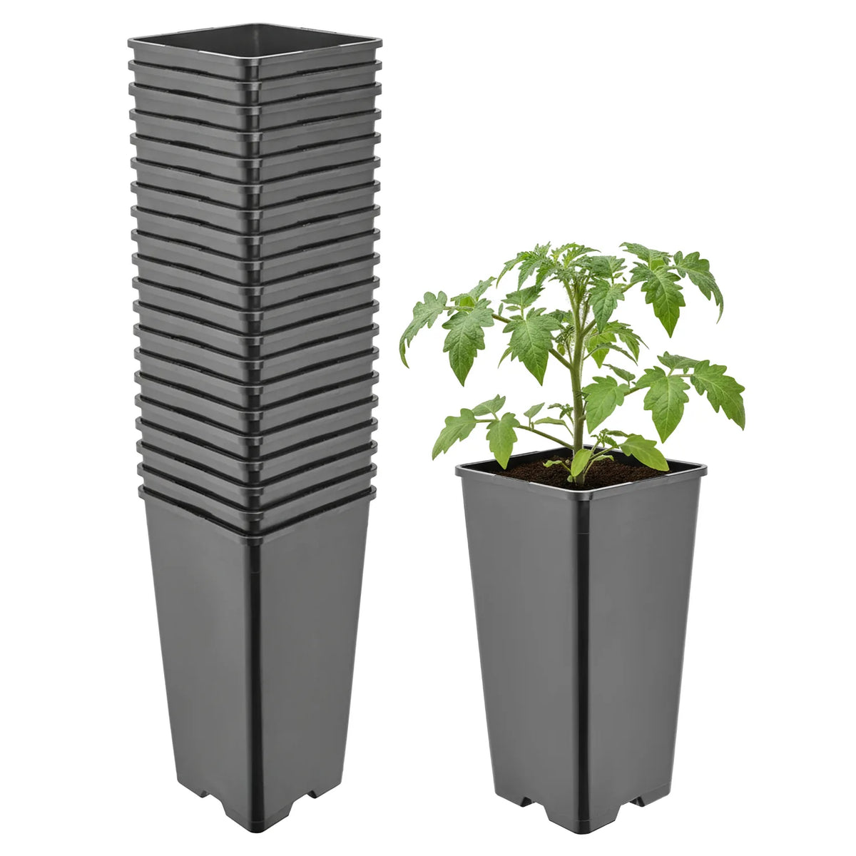 #Größe_11 x 11 x 21,5 cm (2L)#Set_20 Töpfe