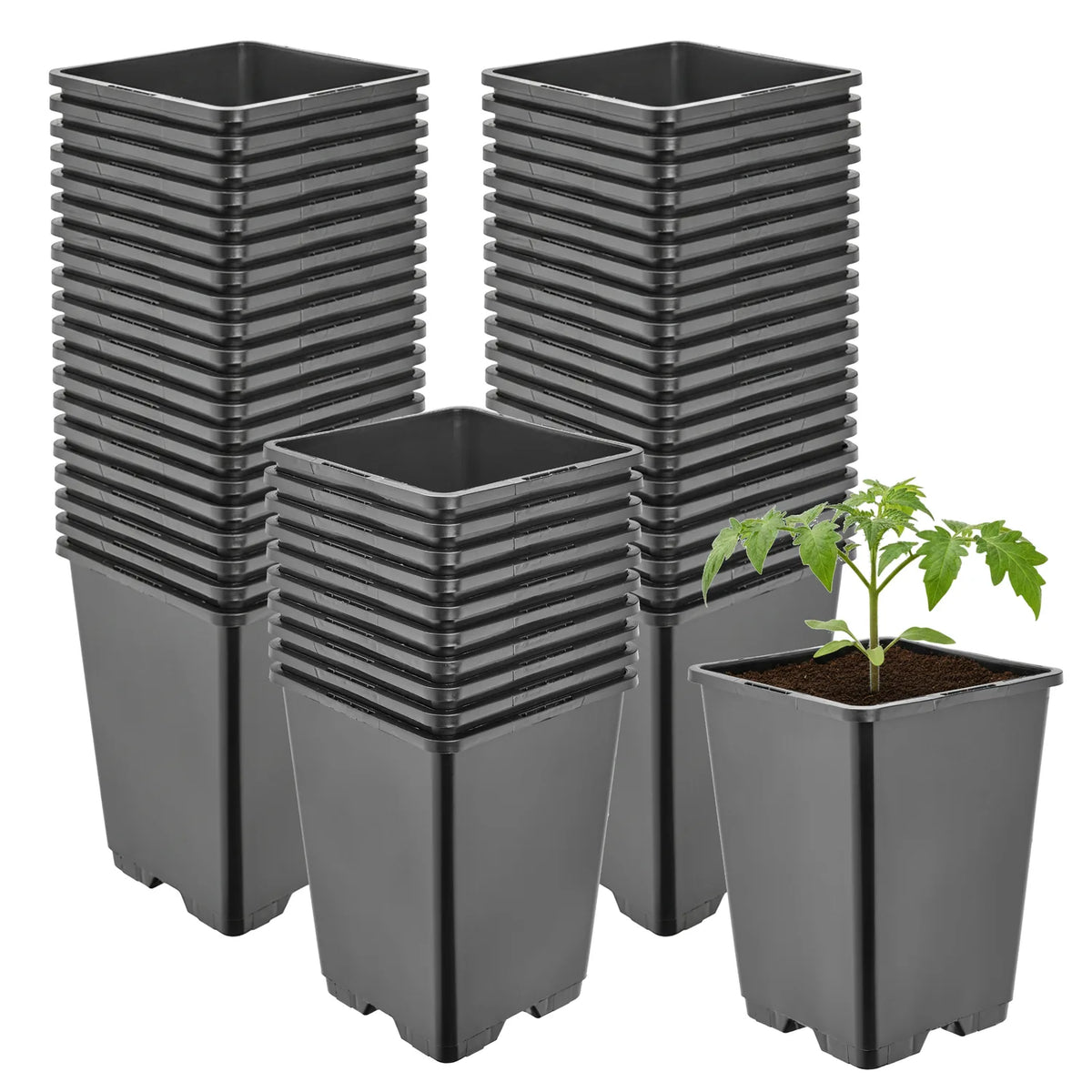 #Größe_11 x 11 x 15,5 cm (1,25L)#Set_50 Töpfe