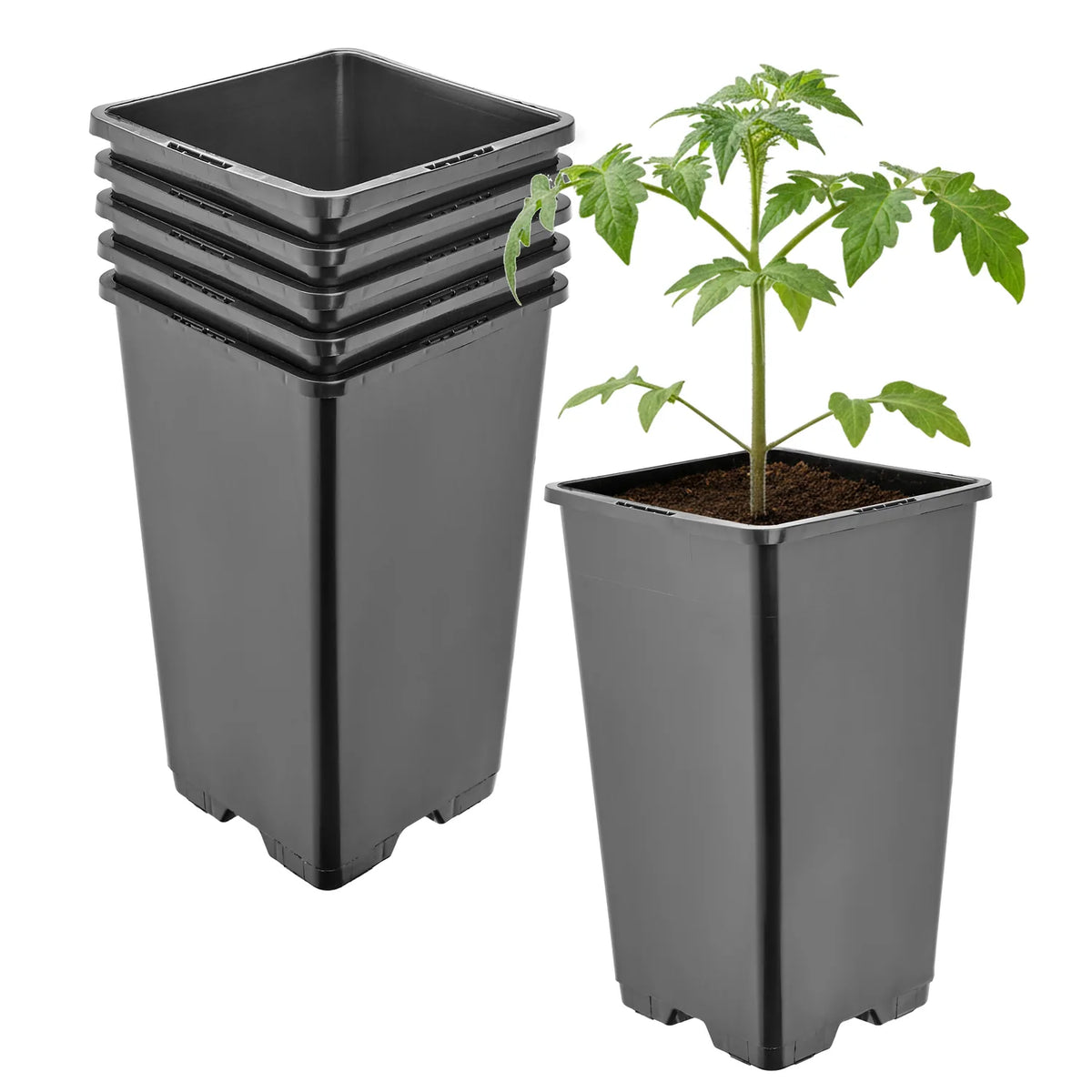 #Größe_11 x 11 x 19 cm (1,7L)#Set_5 Töpfe