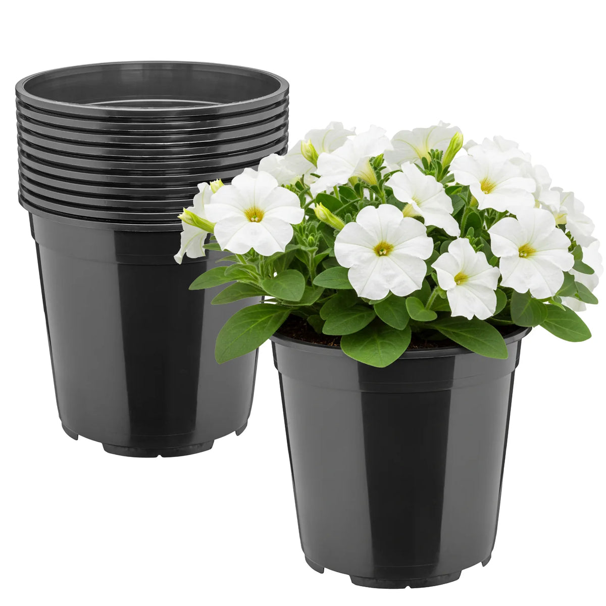 #Größe_Ø20 x 19 cm (4L)#Set_10 Töpfe