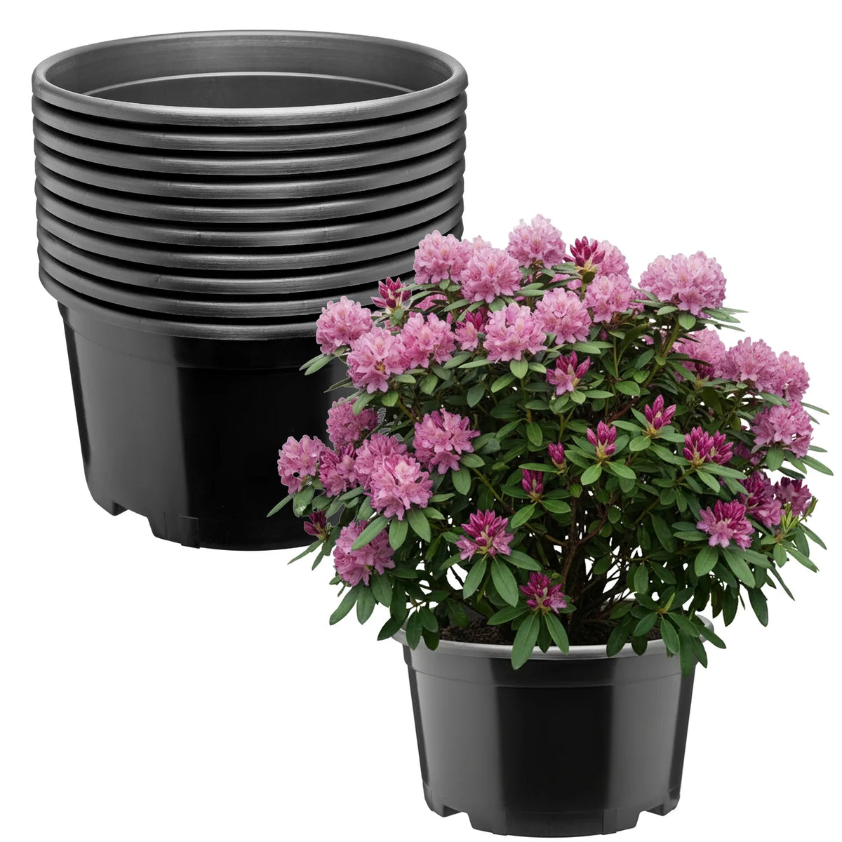 #Größe_Ø34 x 19 cm (12L)#Set_10 Töpfe