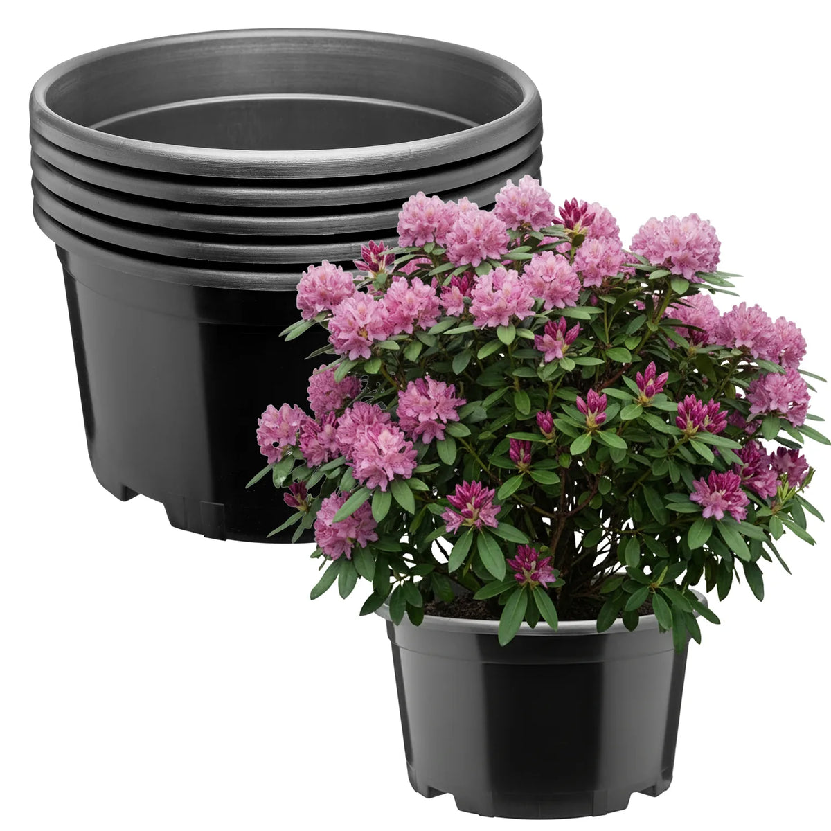 #Größe_Ø34 x 19 cm (12L)#Set_5 Töpfe