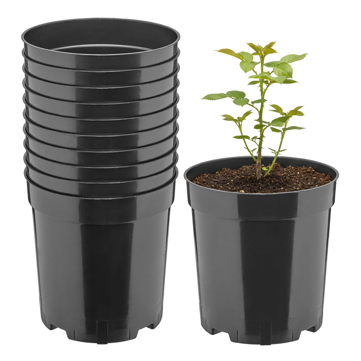 #Größe_Ø14 x 18 cm (2L)#Set_10 Töpfe