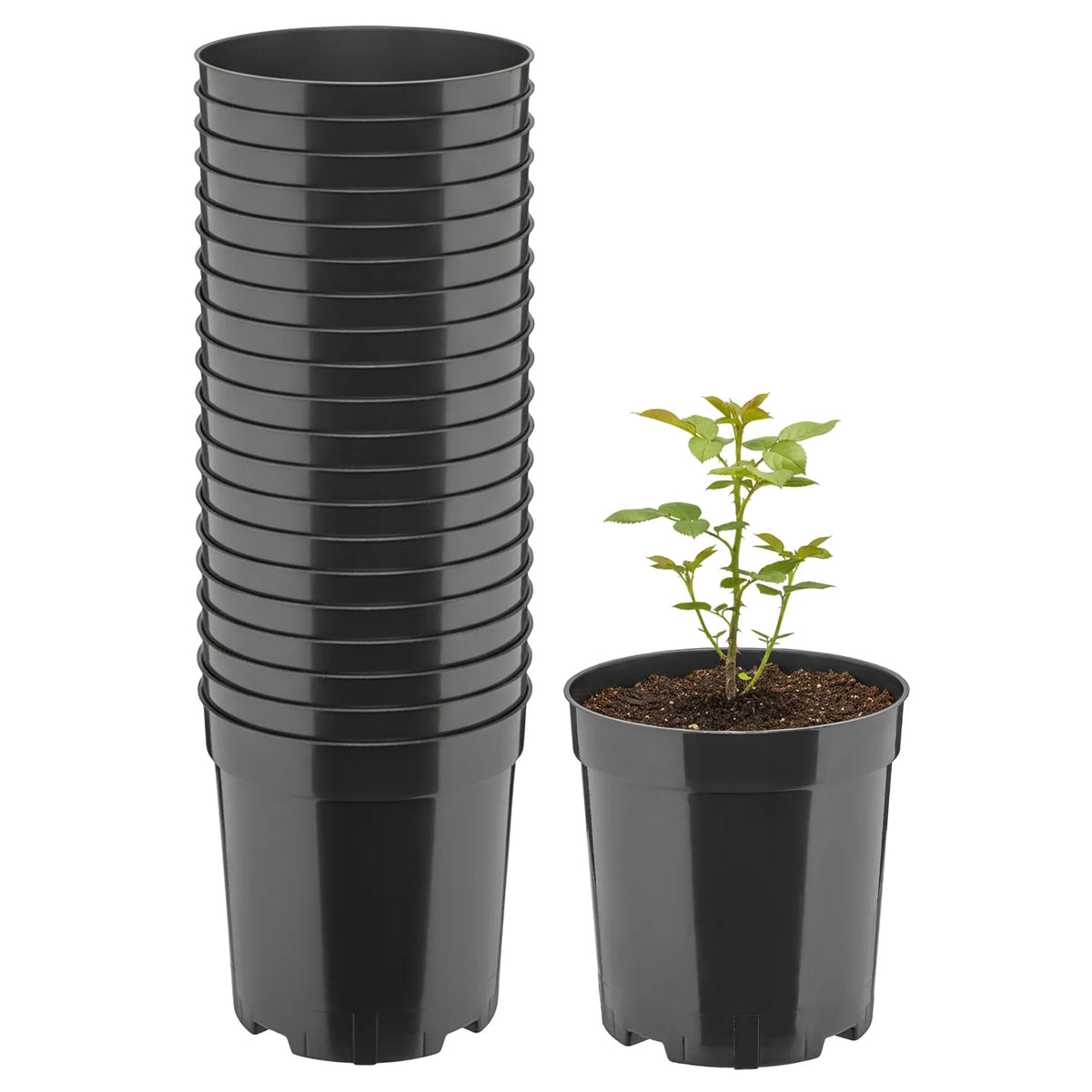 #Größe_Ø14 x 18 cm (2L)#Set_20 Töpfe