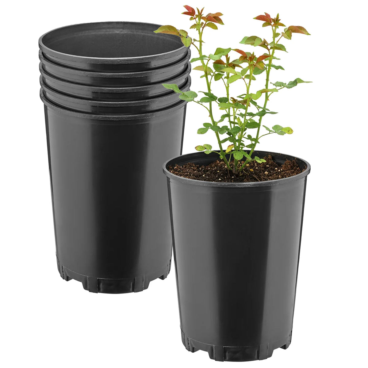 #Größe_Ø16 x 20,5 cm (3L)#Set_5 Töpfe