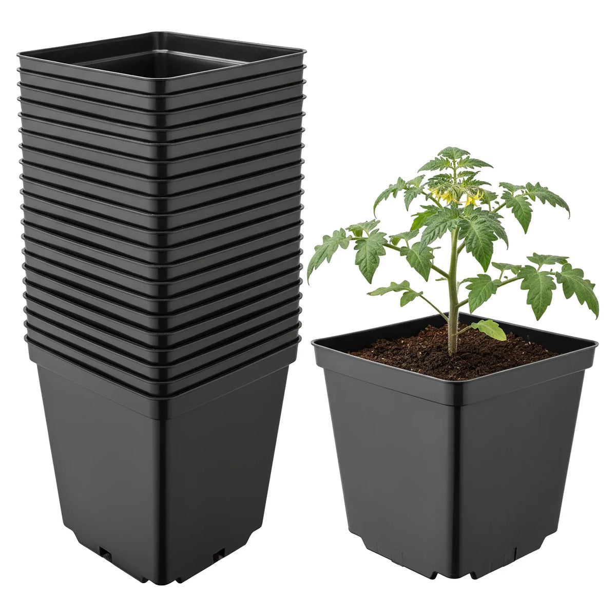 #Größe_15 x 15 x 15 cm (2,5L)#Set_20 Töpfe