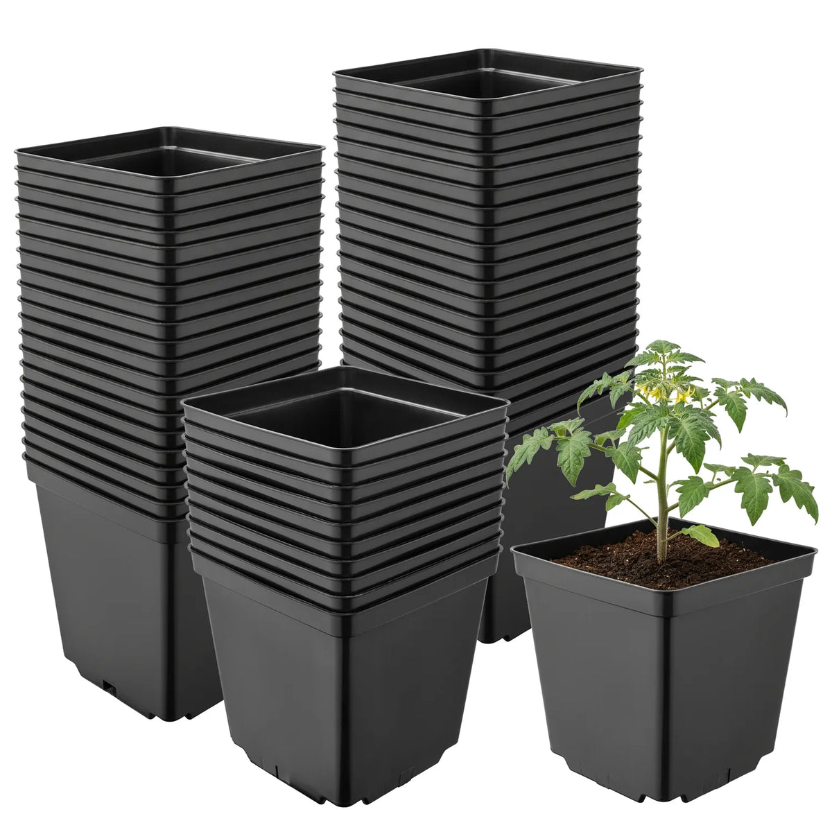 #Größe_15 x 15 x 15 cm (2,5L)#Set_50 Töpfe