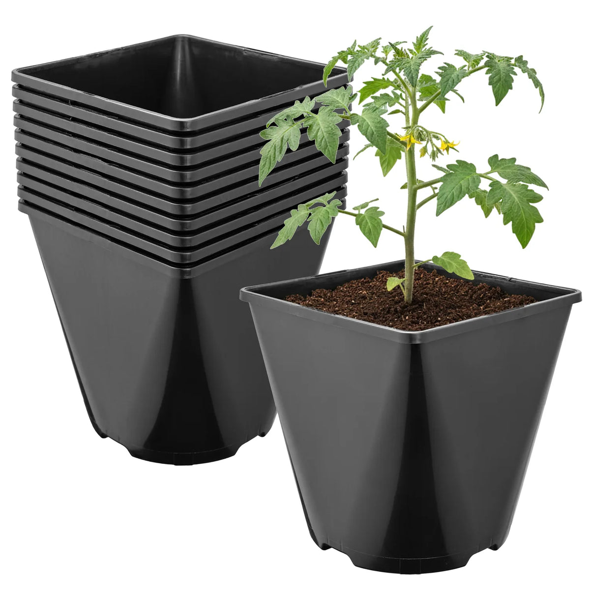 #Größe_15,7 x 15,7 x 16 cm (3L)#Set_10 Töpfe