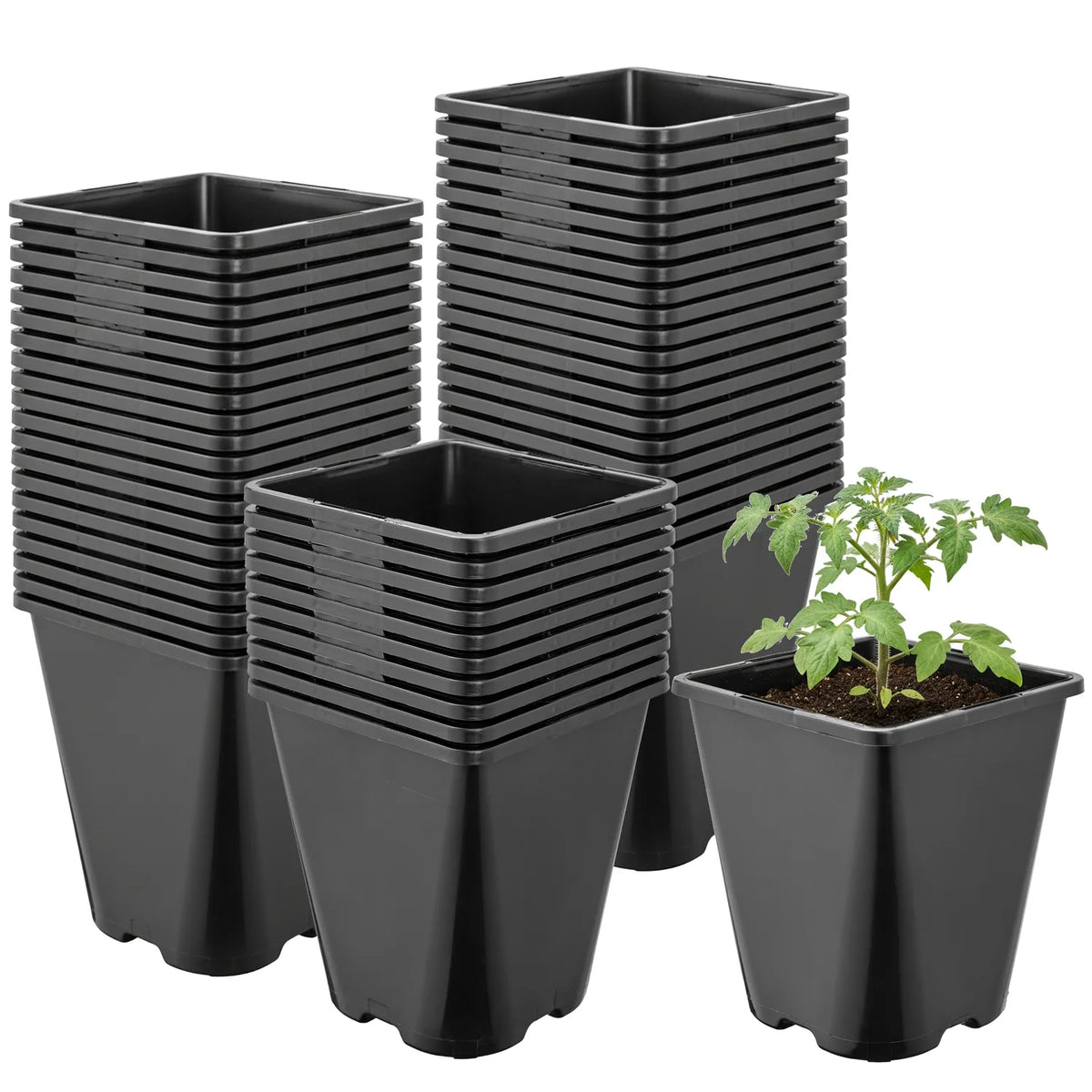 #Größe_11 x 11 x 12,5 cm (1L)#Set_50 Töpfe