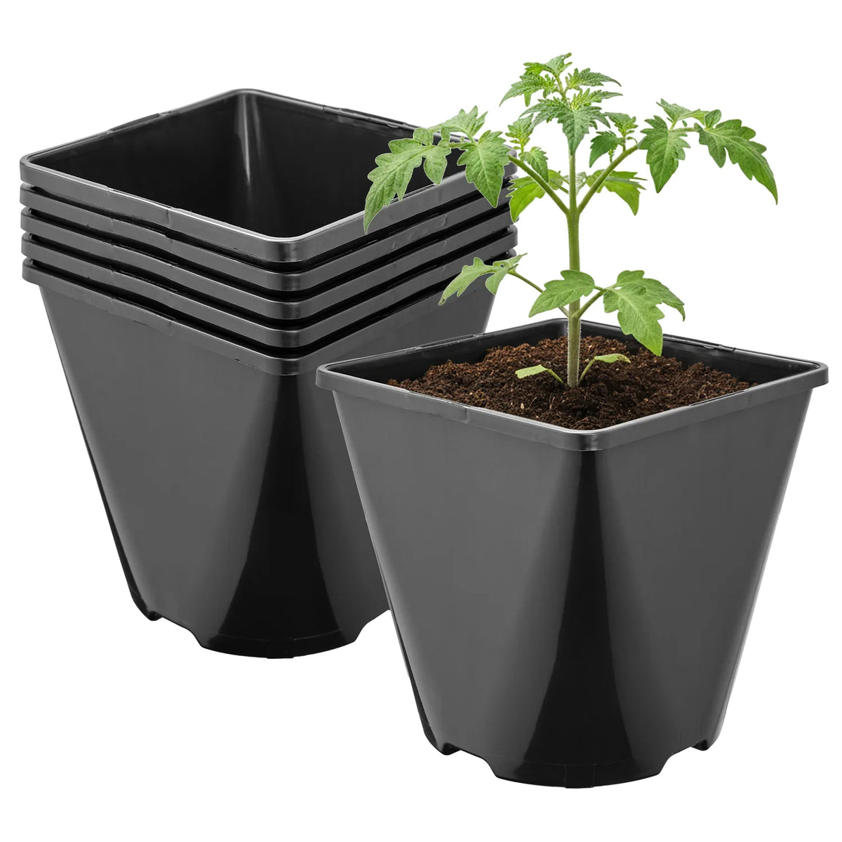 #Größe_14 x 14 x 14 cm (2L)#Set_5 Töpfe