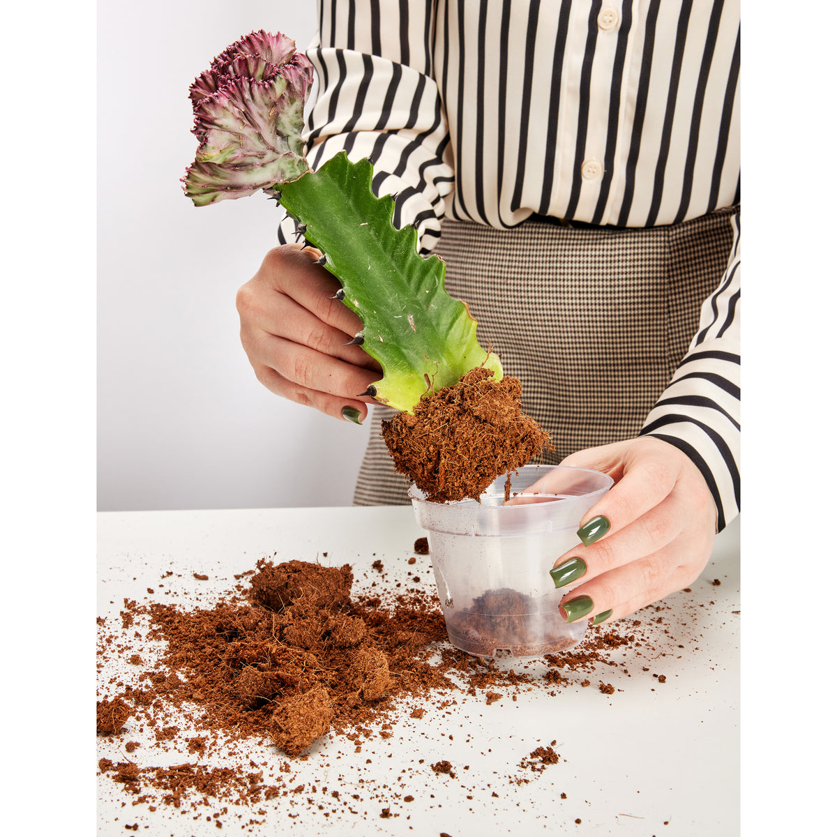 Blumentopf Transparent runder GD-0024