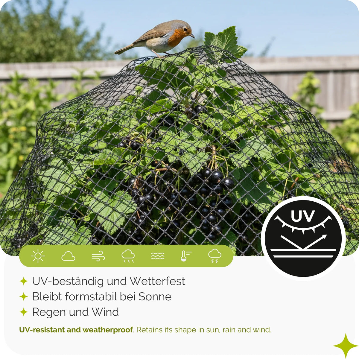 Vogelschutznetz 20 x 20 mm Vogelnetz für Garten, Teich & Balkon GD-0194