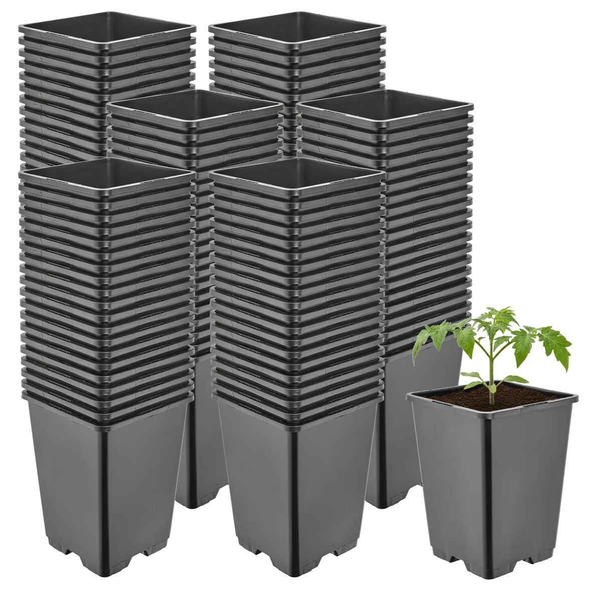 #Größe_11 x 11 x 15,5 cm (1,25L)#Set_100 Töpfe