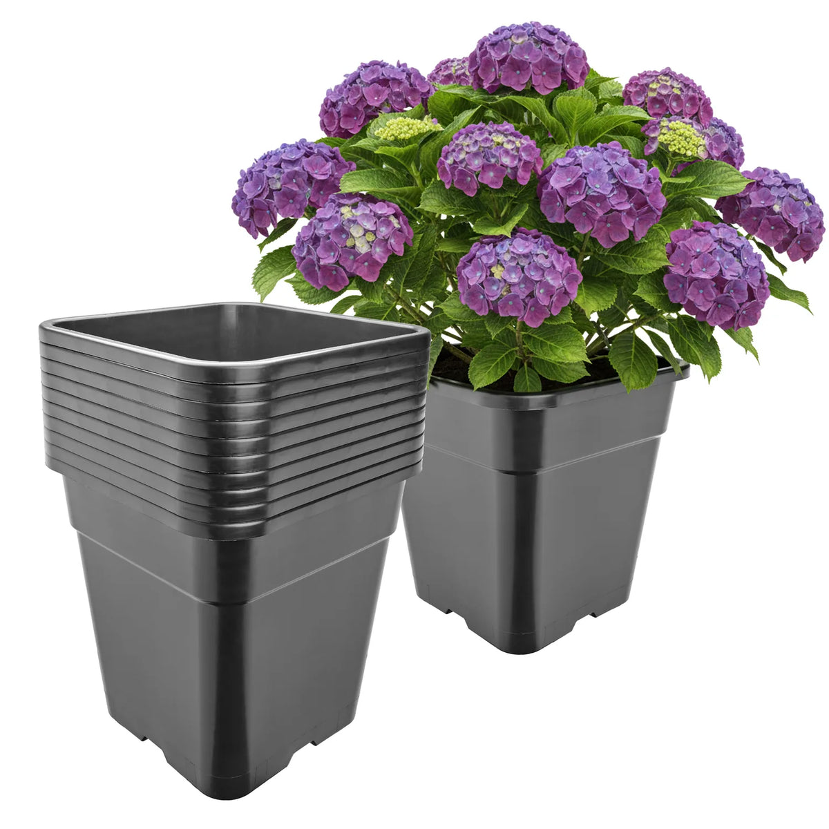 #Größe_30,5 x 30,5 x 31 cm (18L)#Set_10 Töpfe