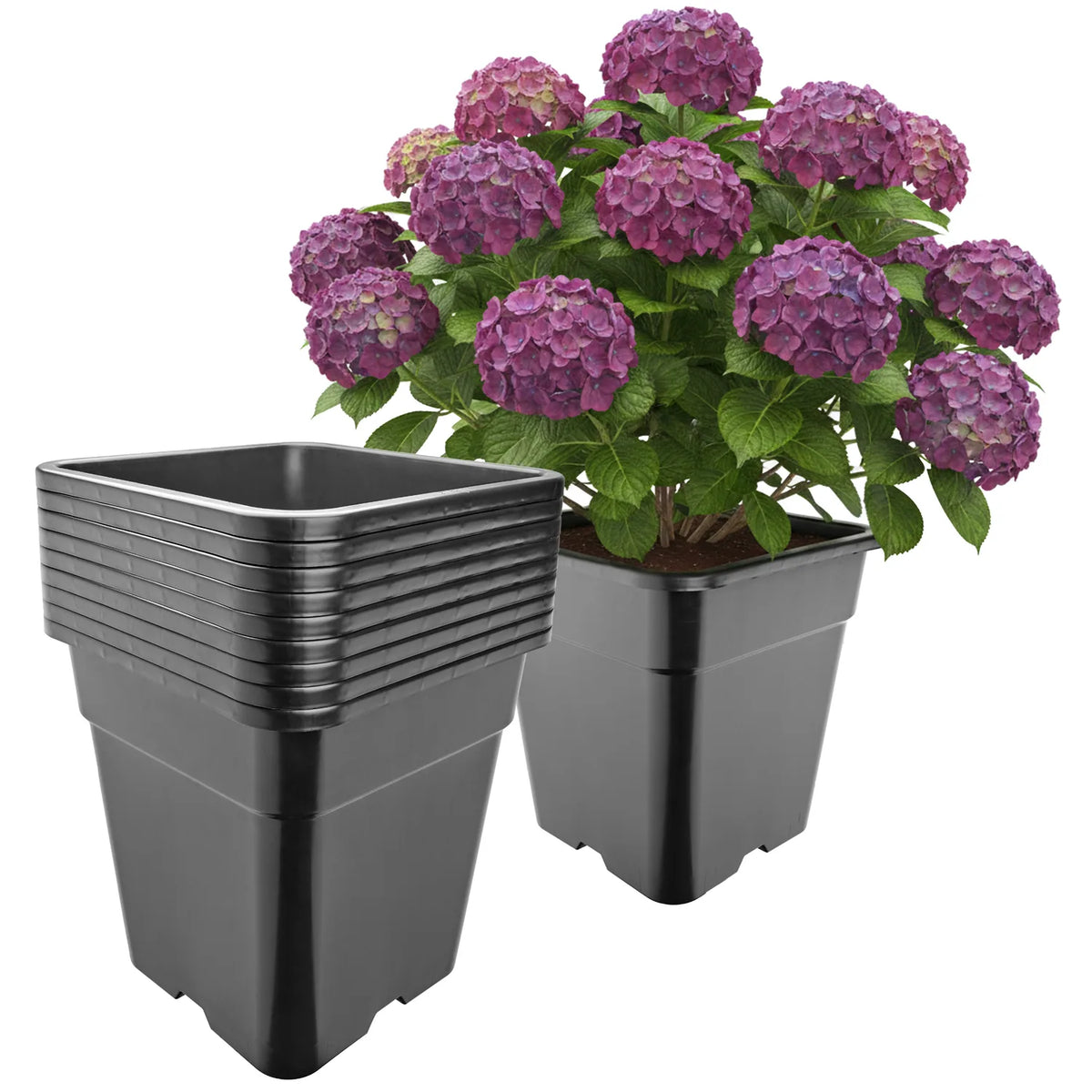 #Größe_33 x 33 x 34 cm (25L)#Set_10 Töpfe