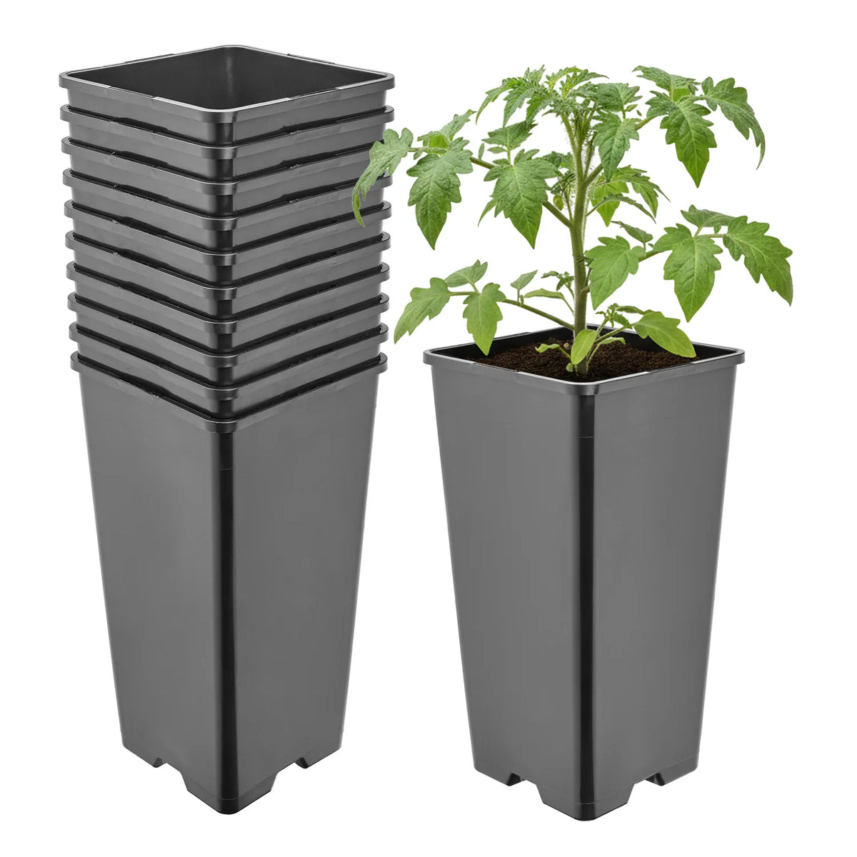 #Größe_11 x 11 x 21,5 cm (2L)#Set_10 Töpfe