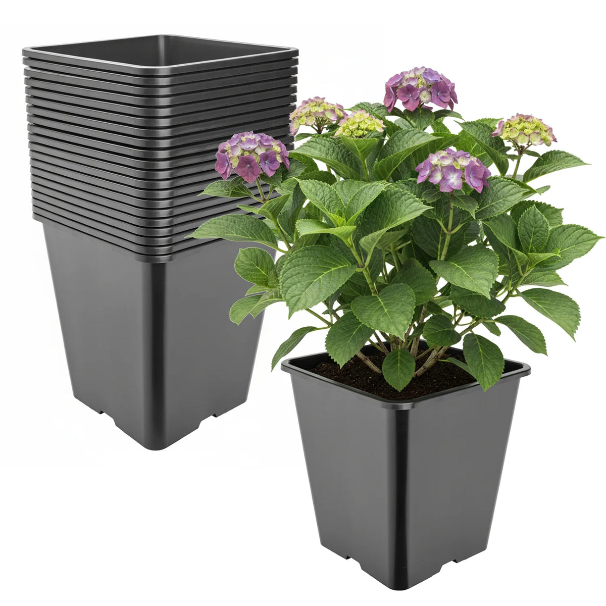 #Größe_25 x 25 x 26 cm (11L)#Set_20 Töpfe