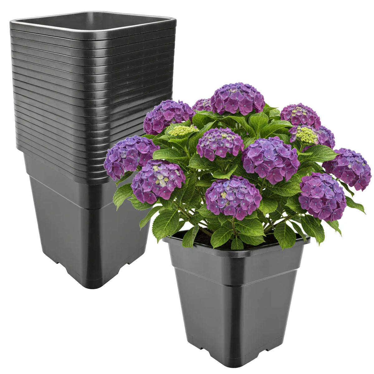 #Größe_30,5 x 30,5 x 31 cm (18L)#Set_20 Töpfe