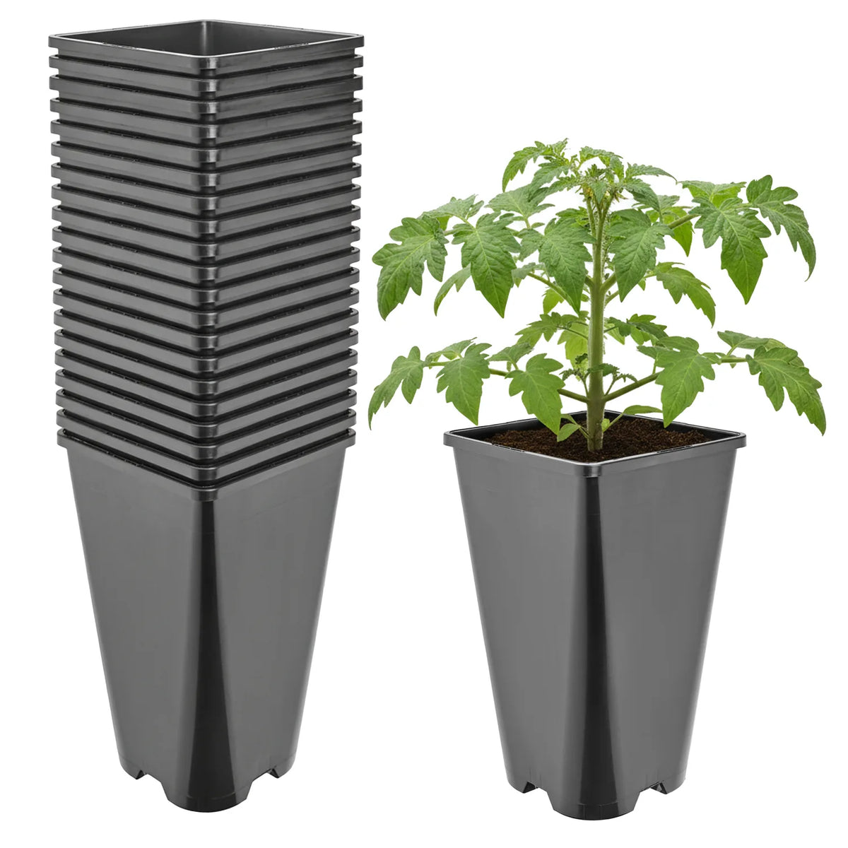 #Größe_13,5 x 13,5 x 23 cm (3L)#Set_20 Töpfe