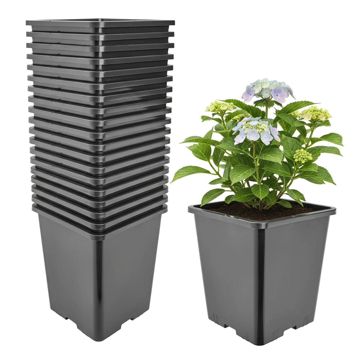 #Größe_20,5 x 20,5 x 23,5 cm (7L)#Set_20 Töpfe