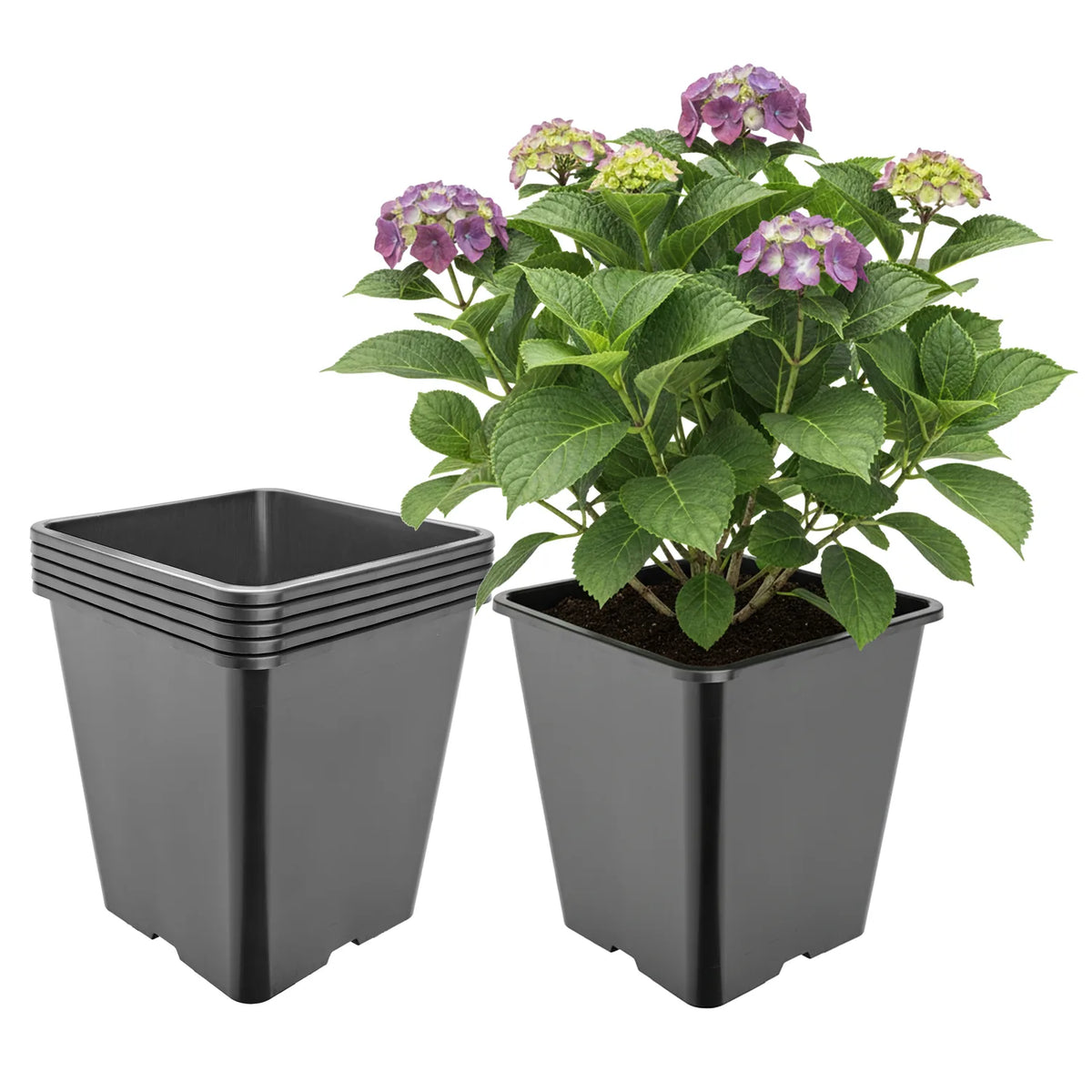 #Größe_25 x 25 x 26 cm (11L)#Set_5 Töpfe