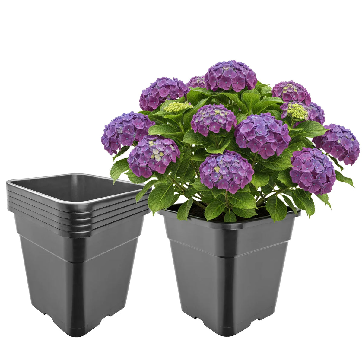 #Größe_30,5 x 30,5 x 31 cm (18L)#Set_5 Töpfe
