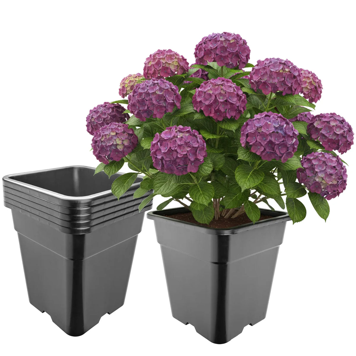 #Größe_33 x 33 x 34 cm (25L)#Set_5 Töpfe