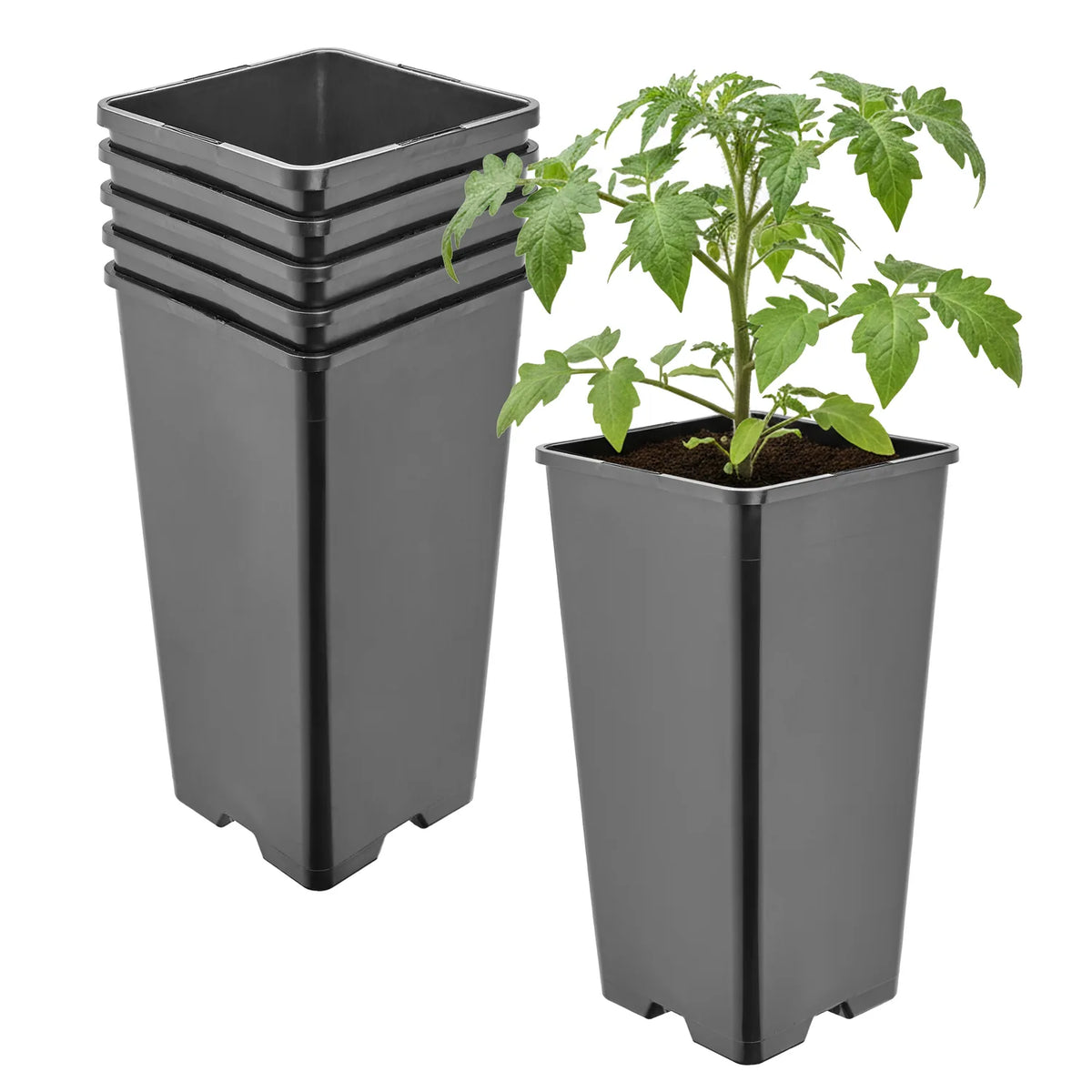 #Größe_11 x 11 x 21,5 cm (2L)#Set_5 Töpfe