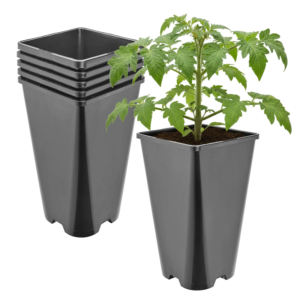 #Größe_13,5 x 13,5 x 23 cm (3L)#Set_5 Töpfe