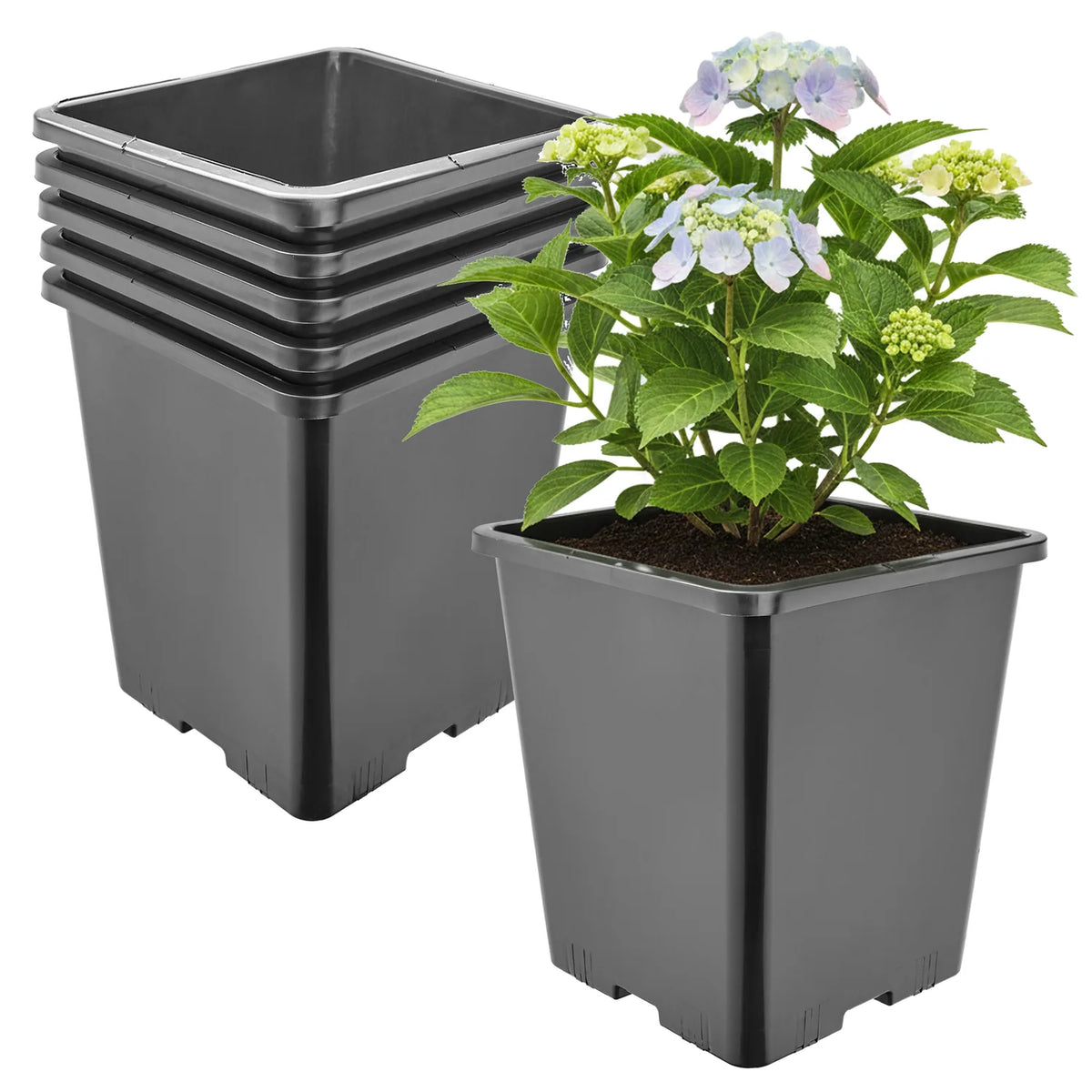 #Größe_20,5 x 20,5 x 23,5 cm (7L)#Set_5 Töpfe