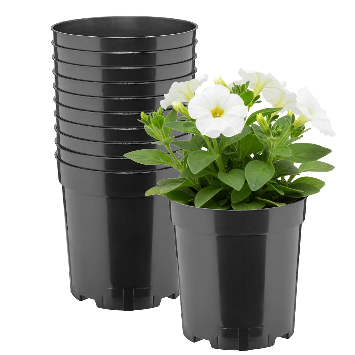 #Größe_Ø14 x 15 cm (2L)#Set_10 Töpfe