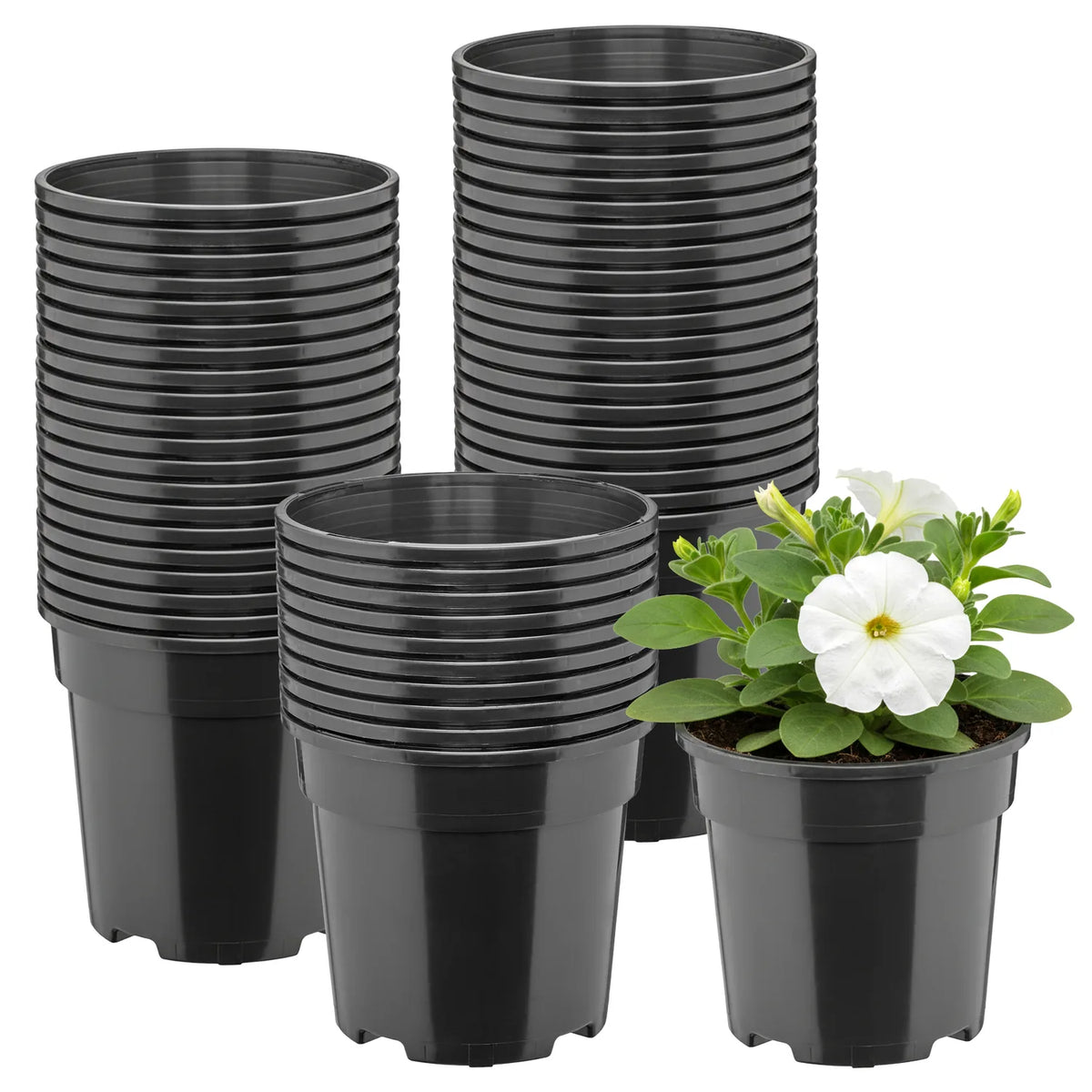 #Größe_Ø13 x 11,5 cm (1L)#Set_50 Töpfe