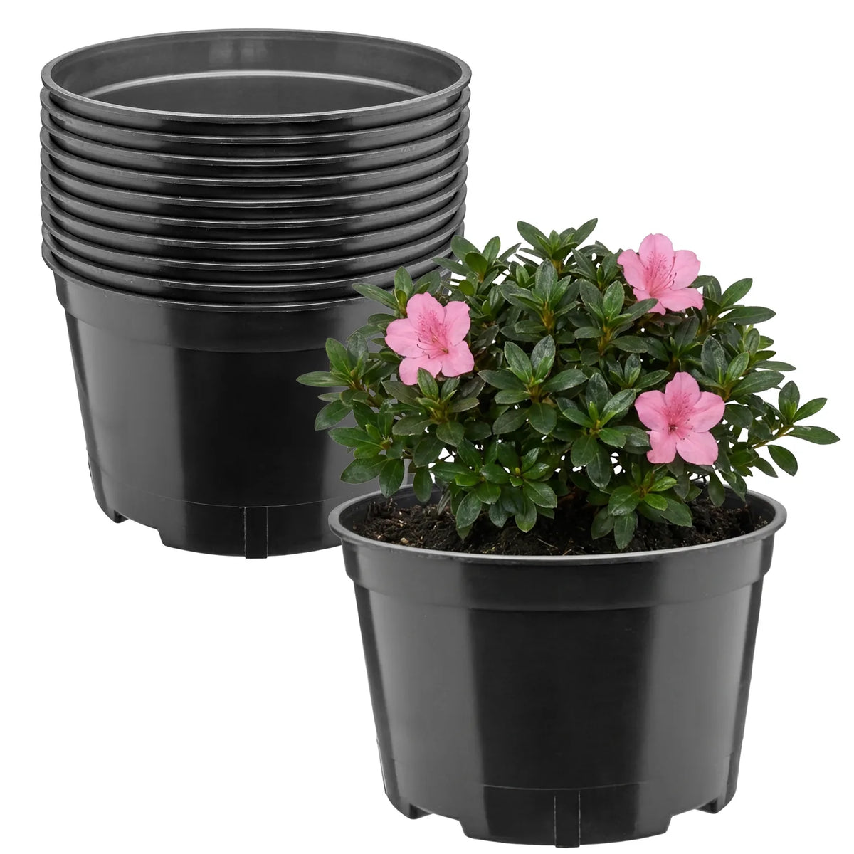#Größe_Ø18 x 11,5 cm (2L)#Set_10 Töpfe