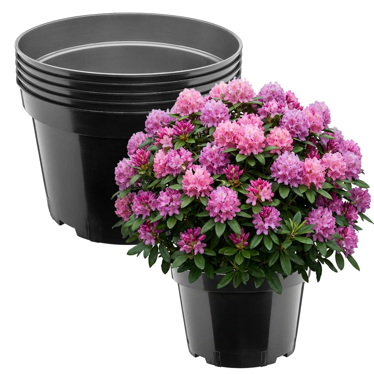 #Größe_Ø34 x 22 cm (15L)#Set_5 Töpfe
