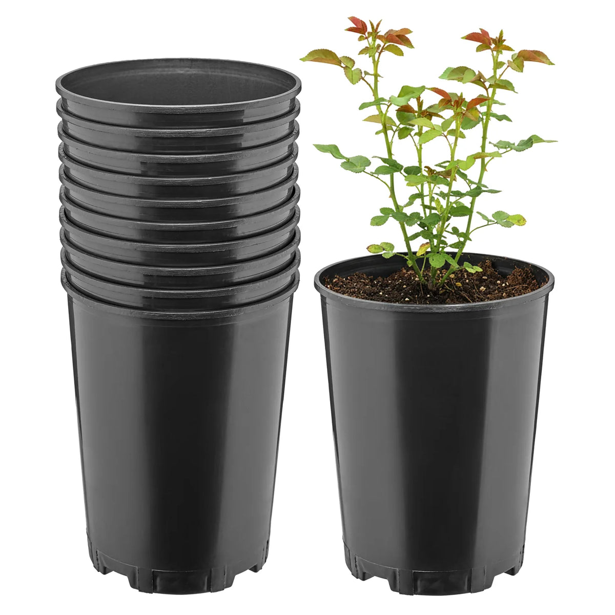 #Größe_Ø16 x 20,5 cm (3L)#Set_10 Töpfe