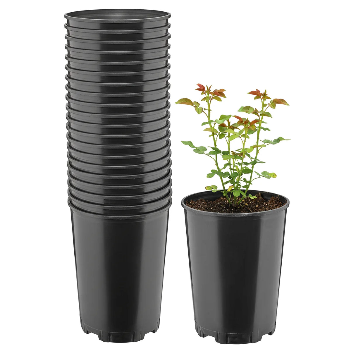 #Größe_Ø16 x 20,5 cm (3L)#Set_20 Töpfe