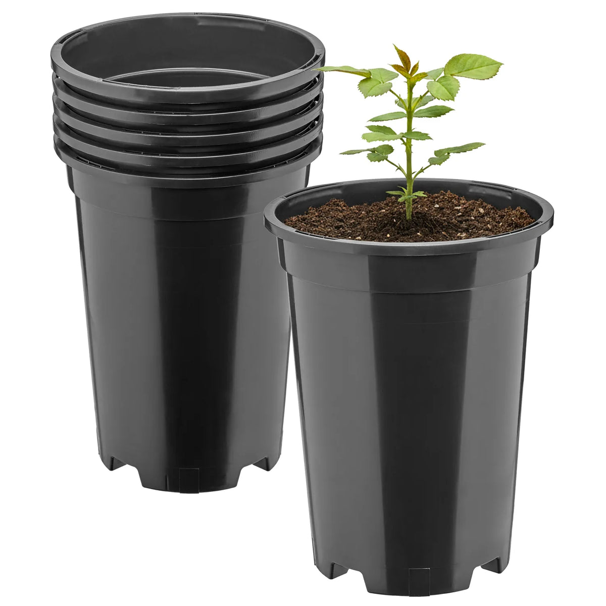 #Größe_Ø14 x 18 cm (1,7L)#Set_5 Töpfe