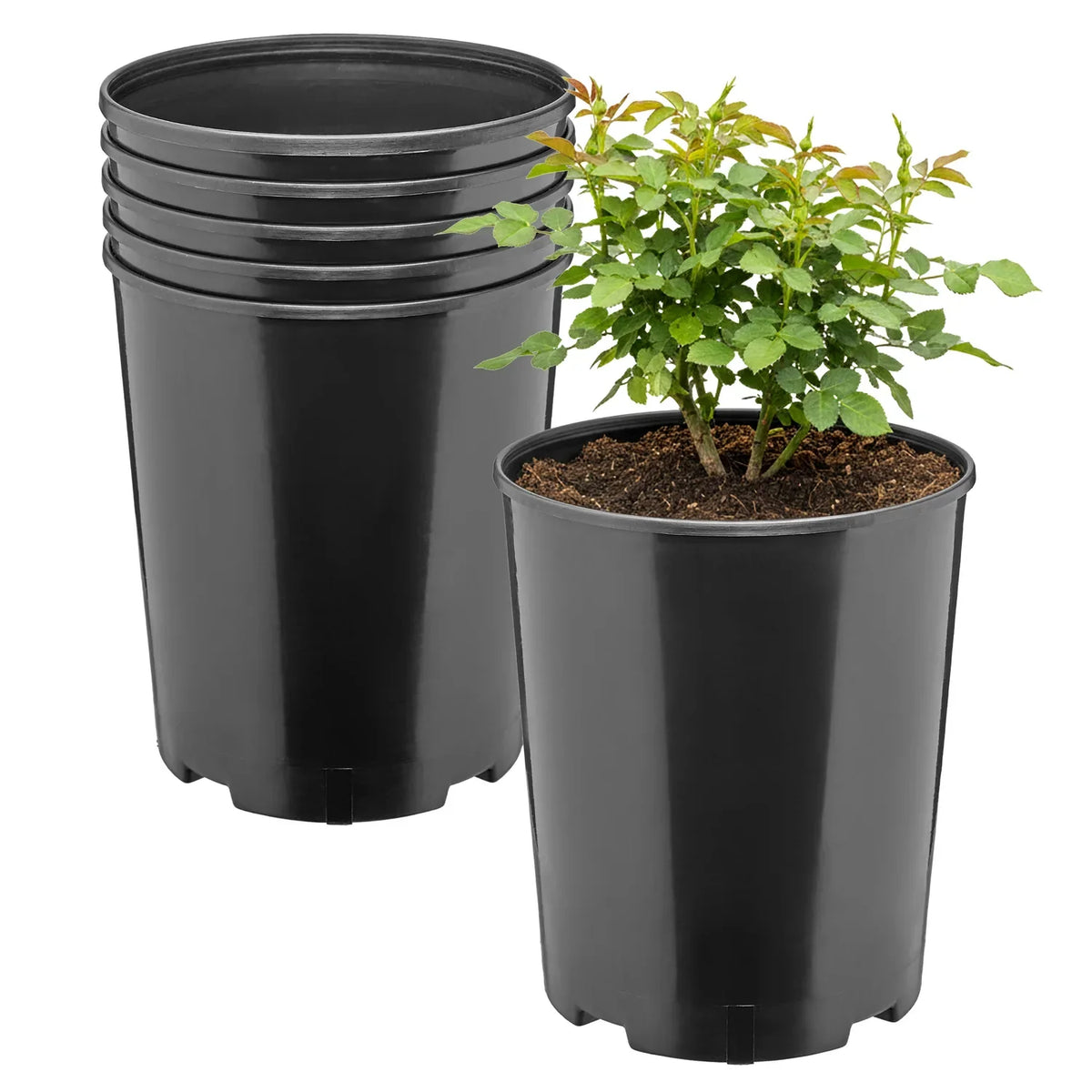 #Größe_Ø18 x 21,5 cm (4L)#Set_5 Töpfe