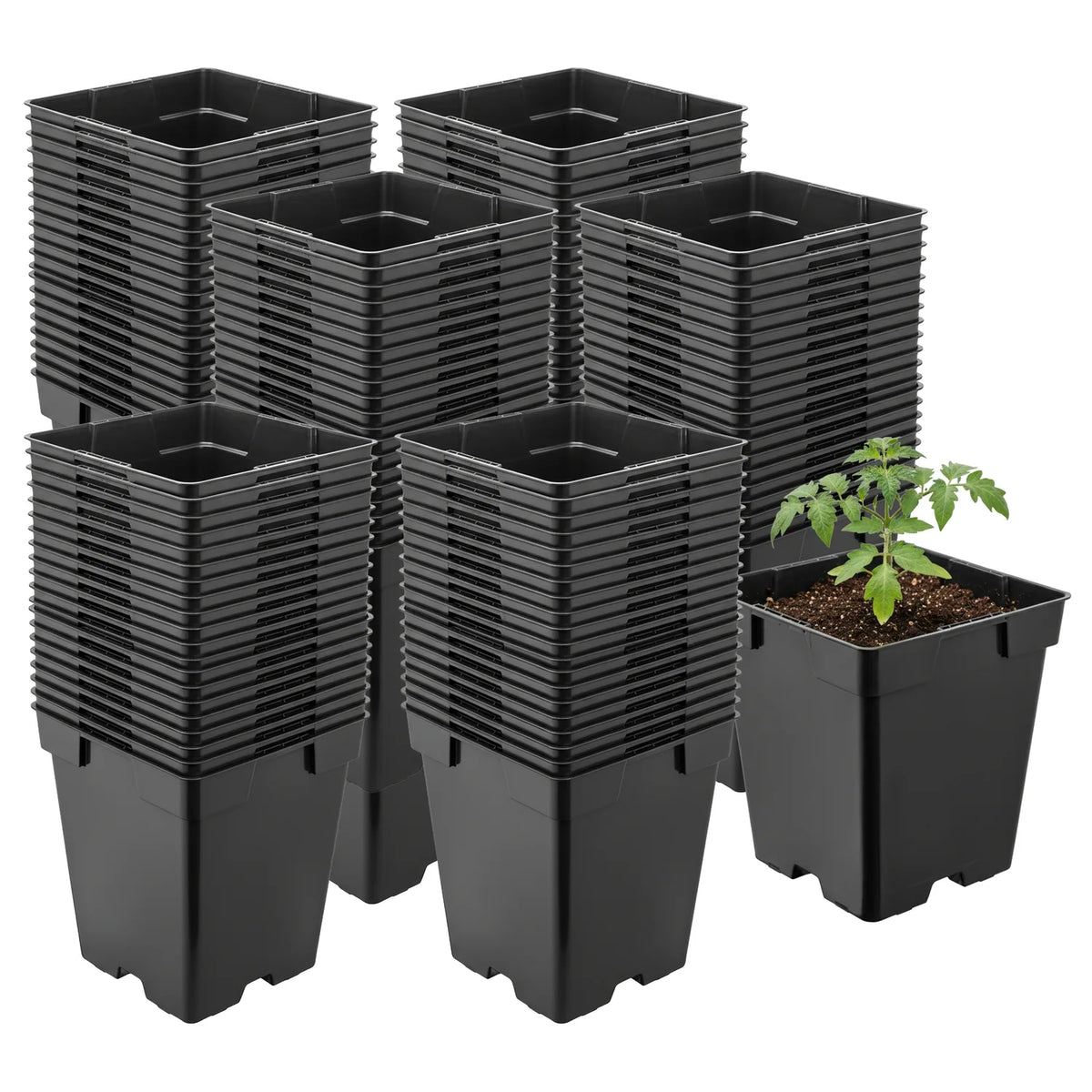 #Größe_11 x 11 x 12 cm (1L)#Set_100 Töpfe
