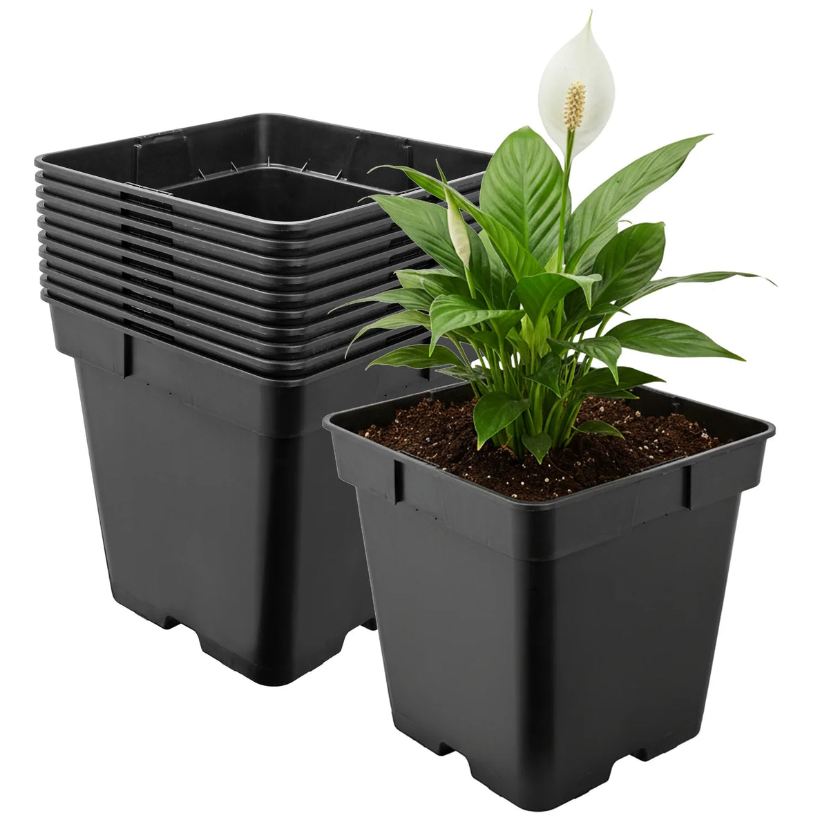 #Größe_18 x 18 x 18 cm (4L)#Set_10 Töpfe