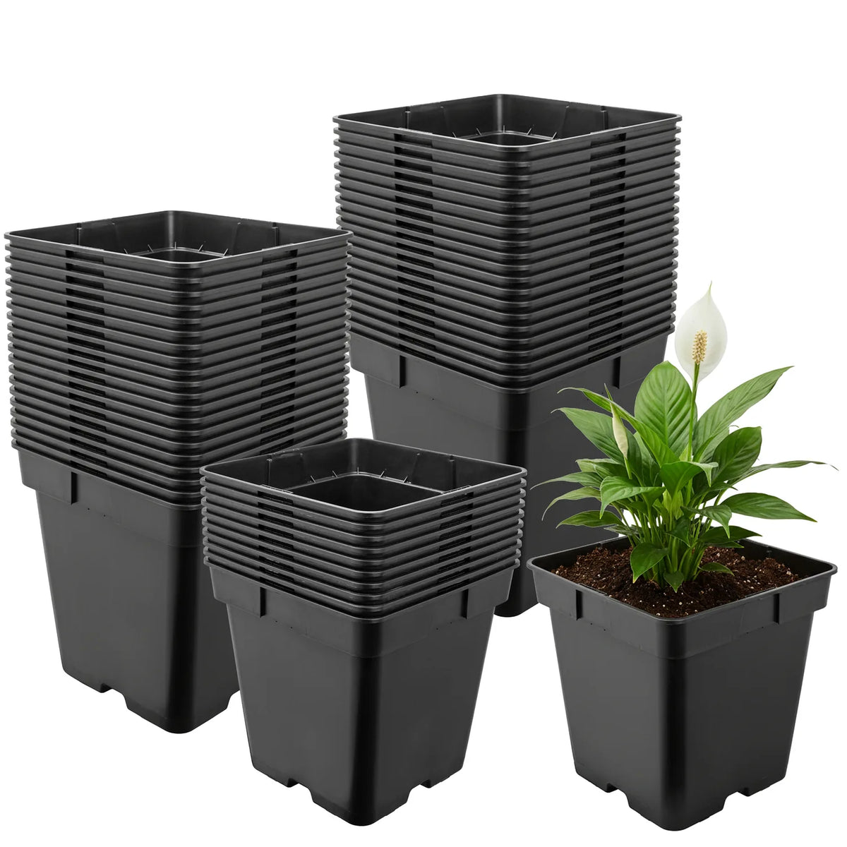#Größe_18 x 18 x 18 cm (4L)#Set_50 Töpfe