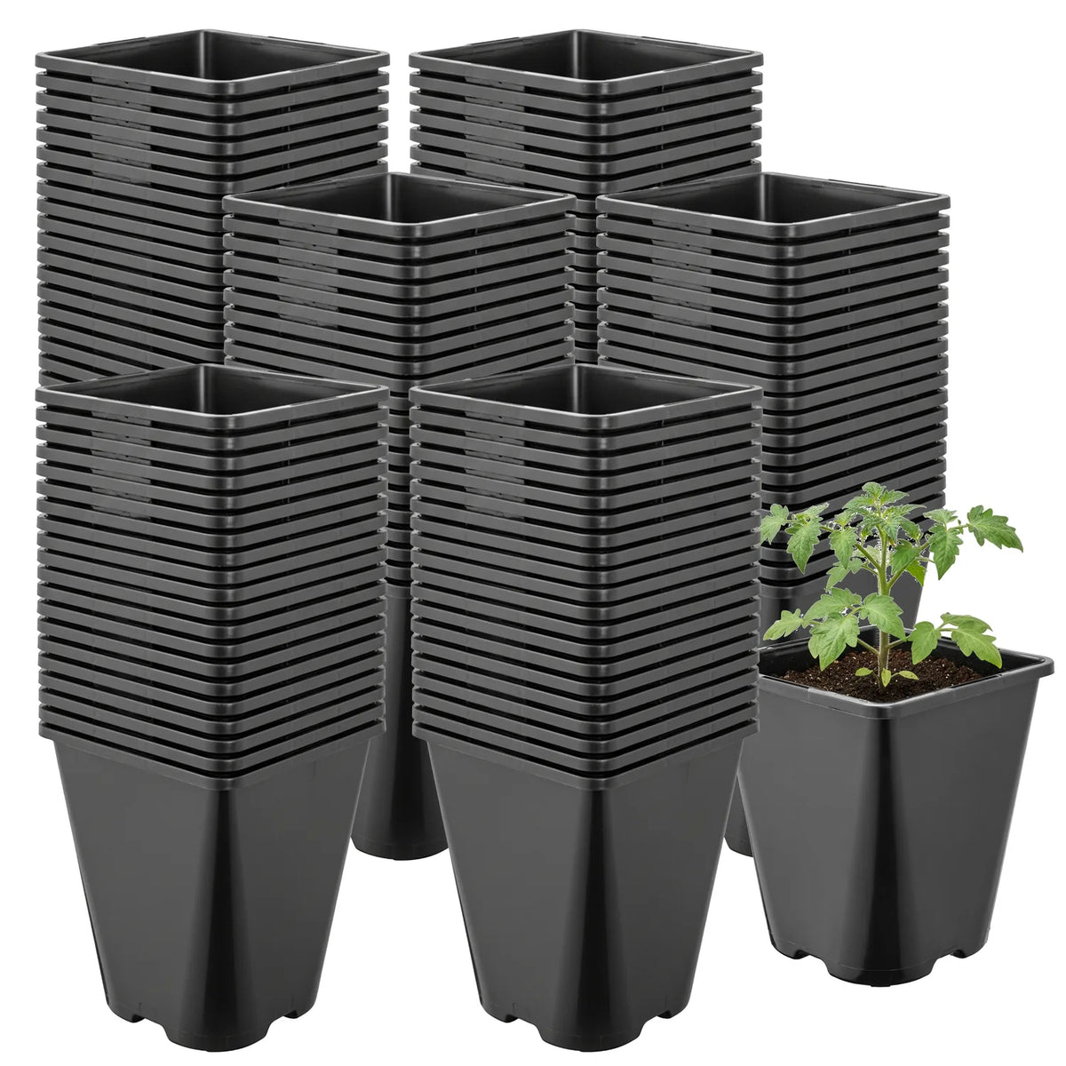 #Größe_11 x 11 x 12,5 cm (1L)#Set_100 Töpfe