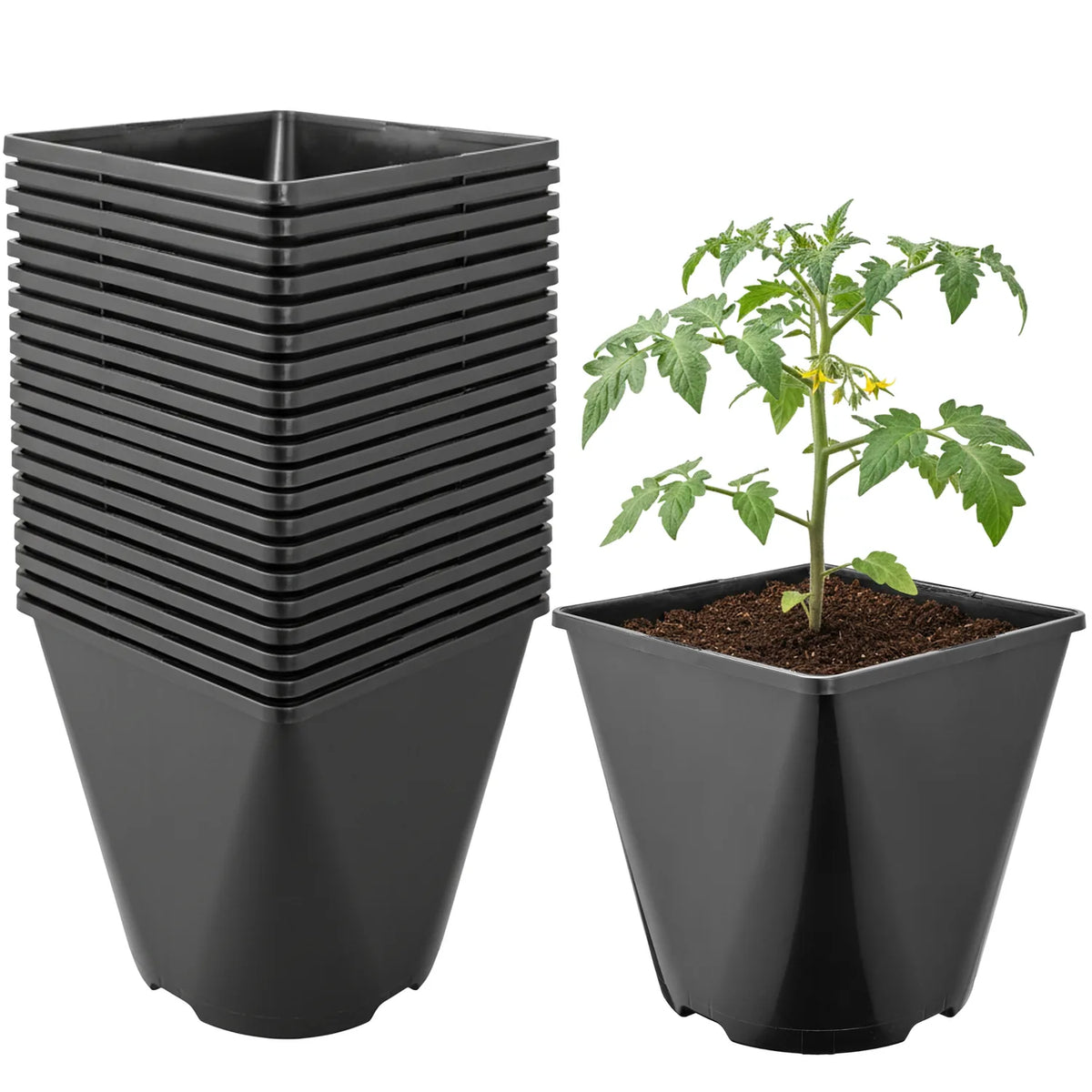 #Größe_15,7 x 15,7 x 16 cm (3L)#Set_20 Töpfe