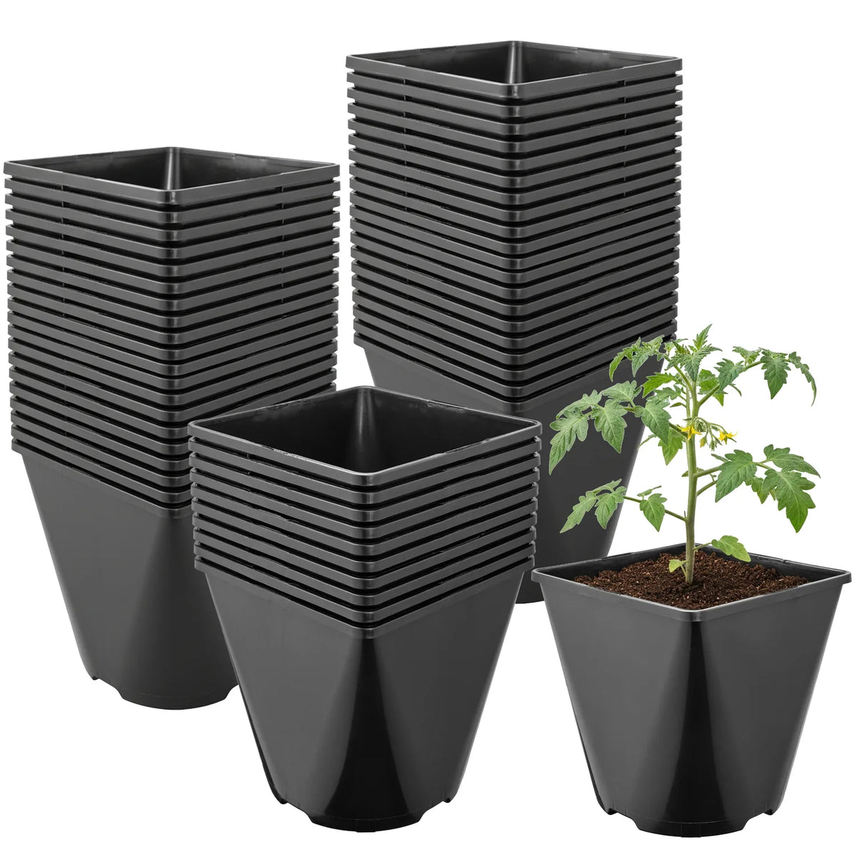 #Größe_15,7 x 15,7 x 16 cm (3L)#Set_50 Töpfe